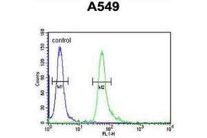 TAGAP Antibody (Center) flow cytometric analysis of A549 cells (right histogram) compared to a negative control cell (left histogram). (TAGAP antibody  (Middle Region))