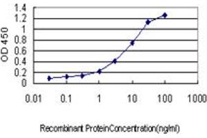 Detection limit for recombinant GST tagged RAPGEF2 is approximately 0. (RAPGEF2 antibody  (AA 1398-1487))