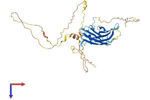 AlphaFold protein structure predicition of Human Recombinant C2CD4D Protein, UniprotID B7Z1M9 (C2cd4d Protein (AA 1-353) (His tag))