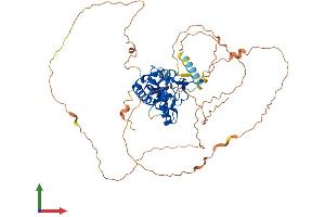 Protein Structure (PS) image for Nuclear Factor I/C (CCAAT-Binding Transcription Factor) (NFIC) (AA 1-508) protein (His tag) (ABIN7549789)