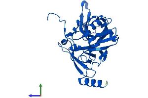 AlphaFold protein structure predicition of Human Recombinant RPS4Y2 Protein, UniprotID Q8TD47 (RPS4Y2 Protein (AA 1-263) (His tag))