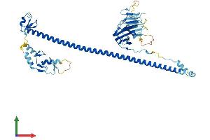 Protein Structure (PS) image for TRIM17 / RNF16 (TRIM17) (AA 1-477) protein (His tag) (ABIN7544744)