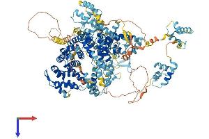 AlphaFold protein structure predicition of Human Recombinant TIMELESS Protein, UniprotID Q9UNS1 (TIMELESS Protein (AA 1-1208) (His tag))