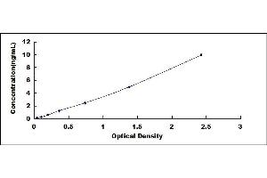 Typical standard curve (XBP1 ELISA Kit)