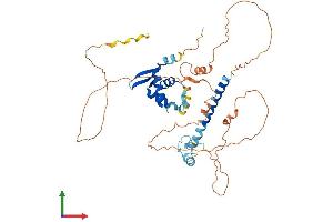 Protein Structure (PS) image for Forkhead Box P3 (FOXP3) (AA 1-429) protein (His tag) (ABIN7564879)