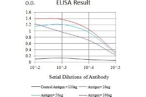 Black line: Control Antigen (100 ng),Purple line: Antigen (10 ng), Blue line: Antigen (50 ng), Red line:Antigen (100 ng) (KIR2DL4/CD158d antibody  (AA 22-120))