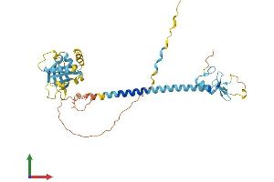 AlphaFold protein structure predicition of Human Recombinant RNF215 Protein, UniprotID Q9Y6U7