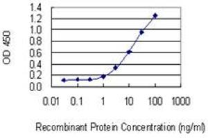 Detection limit for recombinant GST tagged C1orf57 is 0. (C1orf57 antibody  (AA 91-190))