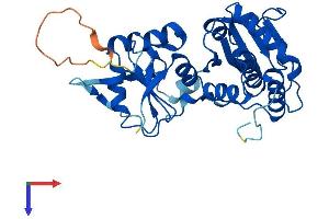 Protein Structure (PS) image for serine/threonine/tyrosine Interacting-Like 1 (STYXL1) (AA 1-313) protein (His tag) (ABIN7544050)