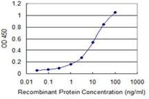 Detection limit for recombinant GST tagged MSI2 is 0. (MSI2 antibody  (AA 1-328))