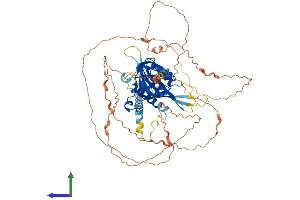 Protein Structure (PS) image for Single-Minded Homolog 2 (SIM2) (AA 1-667) protein (His tag) (ABIN7546173)