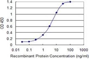 Detection limit for recombinant GST tagged ULK2 is 0. (ULK2 antibody  (AA 743-843))