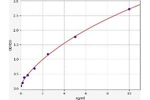 Typical standard curve (SULT2A1 ELISA Kit)