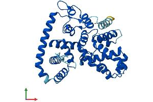 Protein Structure (PS) image for TBC1 Domain Family, Member 21 (TBC1D21) (AA 1-336) protein (His tag) (ABIN7544190)