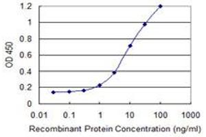 Detection limit for recombinant GST tagged SLC4A1AP is 0. (NADAP antibody  (AA 154-254))