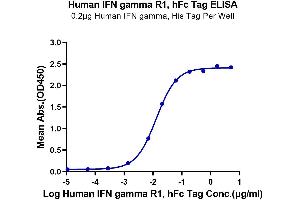Immobilized Human Human IFN gamma, His Tag at 2 μg/mL (100 μL/well) on the plate. (IFNGR1 Protein (AA 18-245) (Fc Tag))