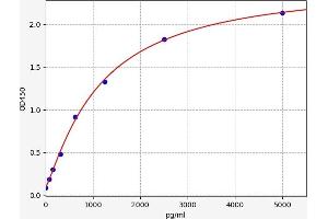 TTF2 ELISA Kit