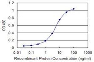 Detection limit for recombinant GST tagged NFATC2IP is 0. (NFATC2IP antibody  (AA 1-138))