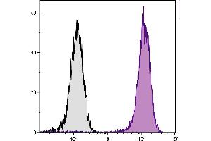 Human T cell leukemia cell line Jurkat was intracellularly stained with Mouse Anti-Human CD107a-PE. (LAMP1 antibody)