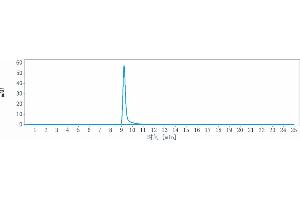 The purity of Anti-TNFRSF17 / BCMA / CD269 Reference Antibody (belantamab) is 100 % , determined by SEC-HPLC. (Recombinant TNFRSF17 (Belantamab Biosimilar) antibody)
