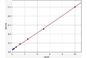 Fibroblast Growth Factor 10 (FGF10) ELISA Kit