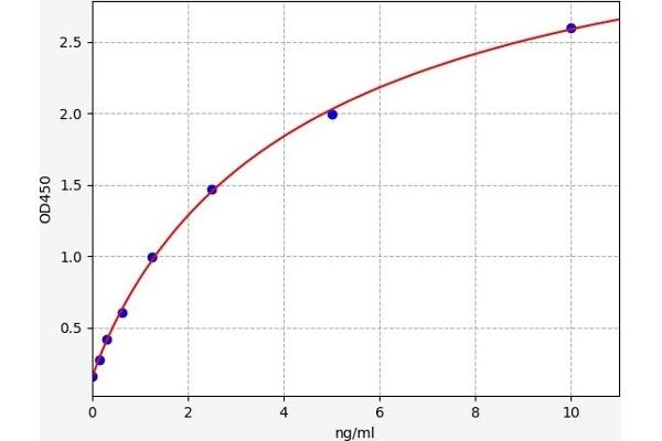 NAT8L ELISA Kit