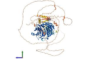 AlphaFold protein structure predicition of Human Recombinant DCAF6 Protein, UniprotID Q58WW2