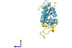 AlphaFold protein structure predicition of Human Recombinant RPL12 Protein, UniprotID P30050 (RPL12 Protein (AA 1-165) (His tag))