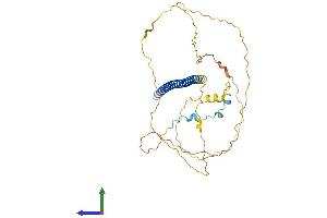 AlphaFold protein structure predicition of Mouse Recombinant Atf4 Protein, UniprotID Q06507 (ATF4 Protein (AA 1-349) (His tag))