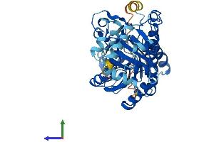 AlphaFold protein structure predicition of Human Recombinant HSDL2 Protein, UniprotID Q6YN16