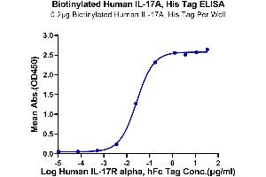 Immobilized Biotinylated Human IL-17A, His Tag at 2 μg/mL (100 μL/well) on the streptavidin precoated plate (5 μg/mL).