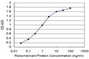 Detection limit for recombinant GST tagged TAOK3 is approximately 0. (TAO Kinase 3 antibody  (AA 809-898))