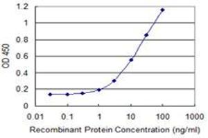 Detection limit for recombinant GST tagged TCP11 is 0. (TCP11 antibody  (AA 342-441))