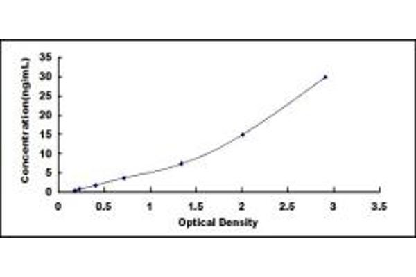 MGP ELISA Kit