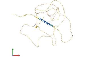 AlphaFold protein structure predicition of Mouse Recombinant Hemgn Protein, UniprotID Q9ERZ0 (HEMGN Protein (AA 1-503) (His tag))