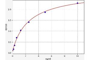 Aquaporin 4 ELISA Kit