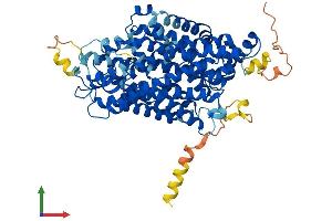 AlphaFold protein structure predicition of Mouse Recombinant Slc6a6 Protein, UniprotID O35316
