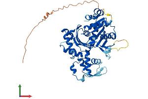 AlphaFold protein structure predicition of Human Recombinant ACTL9 Protein, UniprotID Q8TC94 (ACTL9 Protein (AA 1-416) (His tag))
