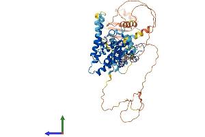 Protein Structure (PS) image for Nuclear Receptor Subfamily 2, Group C, Member 1 (NR2C1) (AA 1-603) protein (His tag) (ABIN7554786)
