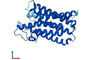 Protein Structure (PS) image for Steroid-5-alpha-Reductase, alpha Polypeptide 1 (3-Oxo-5 alpha-Steroid delta 4-Dehydrogenase alpha 1) (SRD5A1) (AA 1-255) protein (His tag) (ABIN7557881)