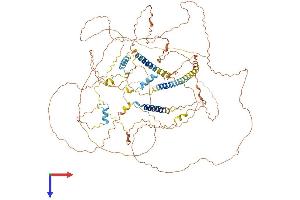 AlphaFold protein structure predicition of Human Recombinant ETAA1 Protein, UniprotID Q9NY74 (ETAA1 Protein (AA 1-926) (His tag))