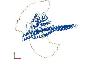 AlphaFold protein structure predicition of Human Recombinant SNX33 Protein, UniprotID Q8WV41