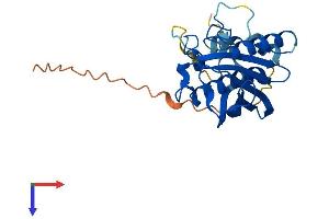 Thioesterase Superfamily Member 5 (THEM5) (AA 1-248) protein (His tag)