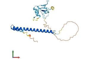 Protein Structure (PS) image for THAP Domain Containing 6 (THAP6) (AA 1-222) protein (His tag) (ABIN7544282)