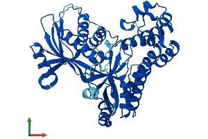 AlphaFold protein structure predicition of Mouse Recombinant Galk2 Protein, UniprotID Q68FH4