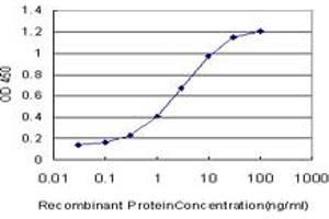 Detection limit for recombinant GST tagged MGC13096 is approximately 0. (PDCD2L antibody  (AA 80-179))