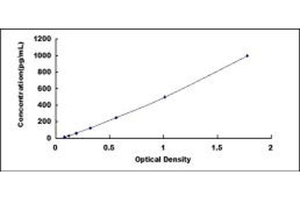 BMP8B ELISA Kit