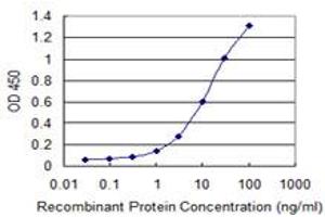 ELISA image for anti-Senataxin (SETX) (AA 2579-2676) antibody (ABIN565001)