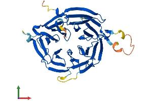 Protein Structure (PS) image for WD Repeat Domain 45 (WDR45) (AA 1-360) protein (His tag) (ABIN7545202)