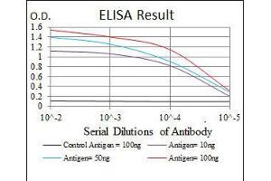 Black line: Control Antigen (100 ng), Purple line: Antigen(10 ng), Blue line: Antigen (50 ng), Red line: Antigen (100 ng), (Src antibody)